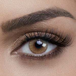 Avela contour